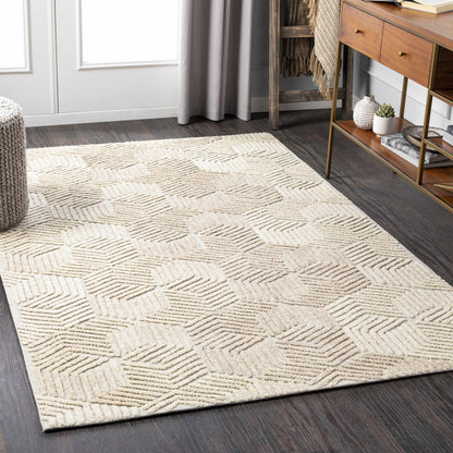 Oakland OAA-1002 Hand Tufted Rug