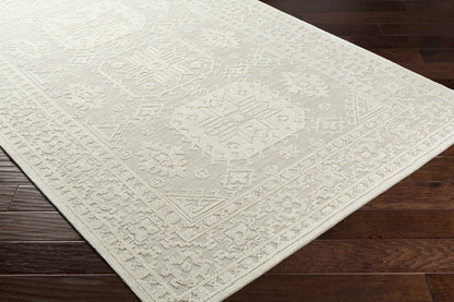 Oakland OAA-1013 Hand Tufted Rug