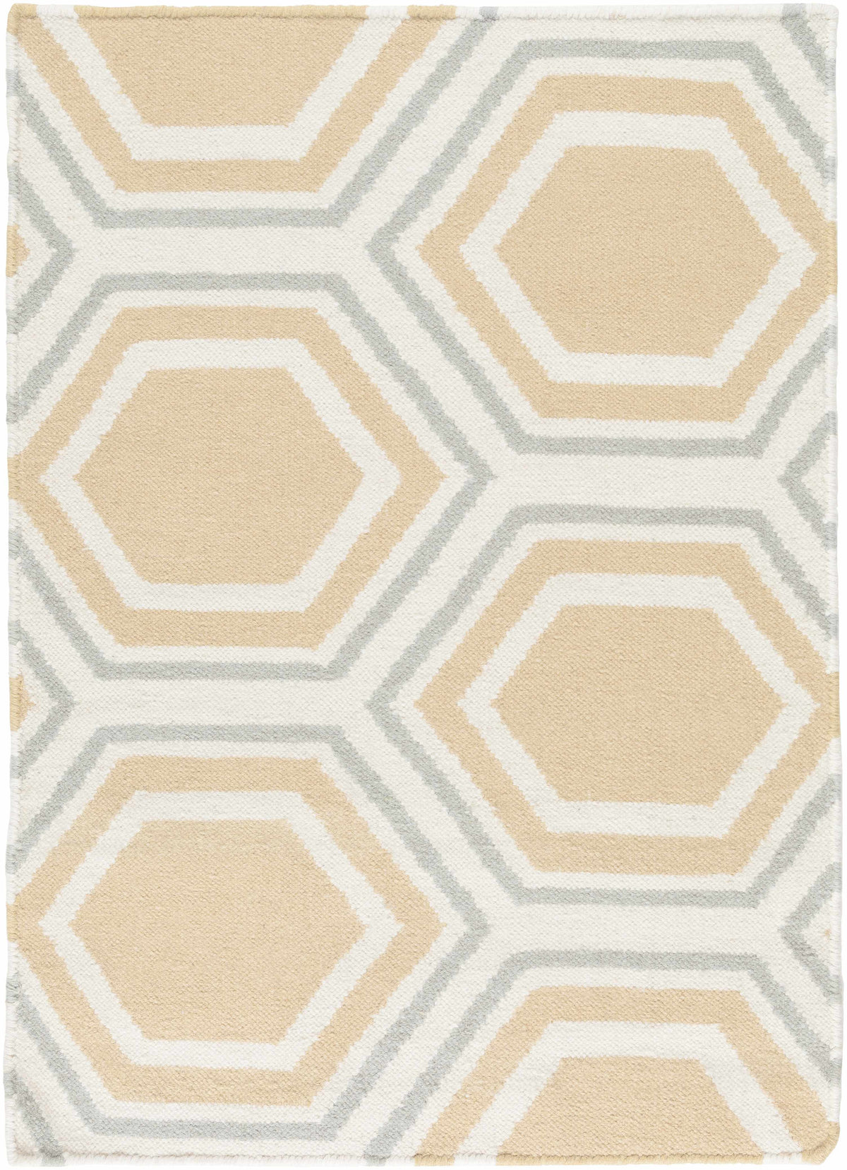 Fallon FAL-1038 Hand Woven Rug