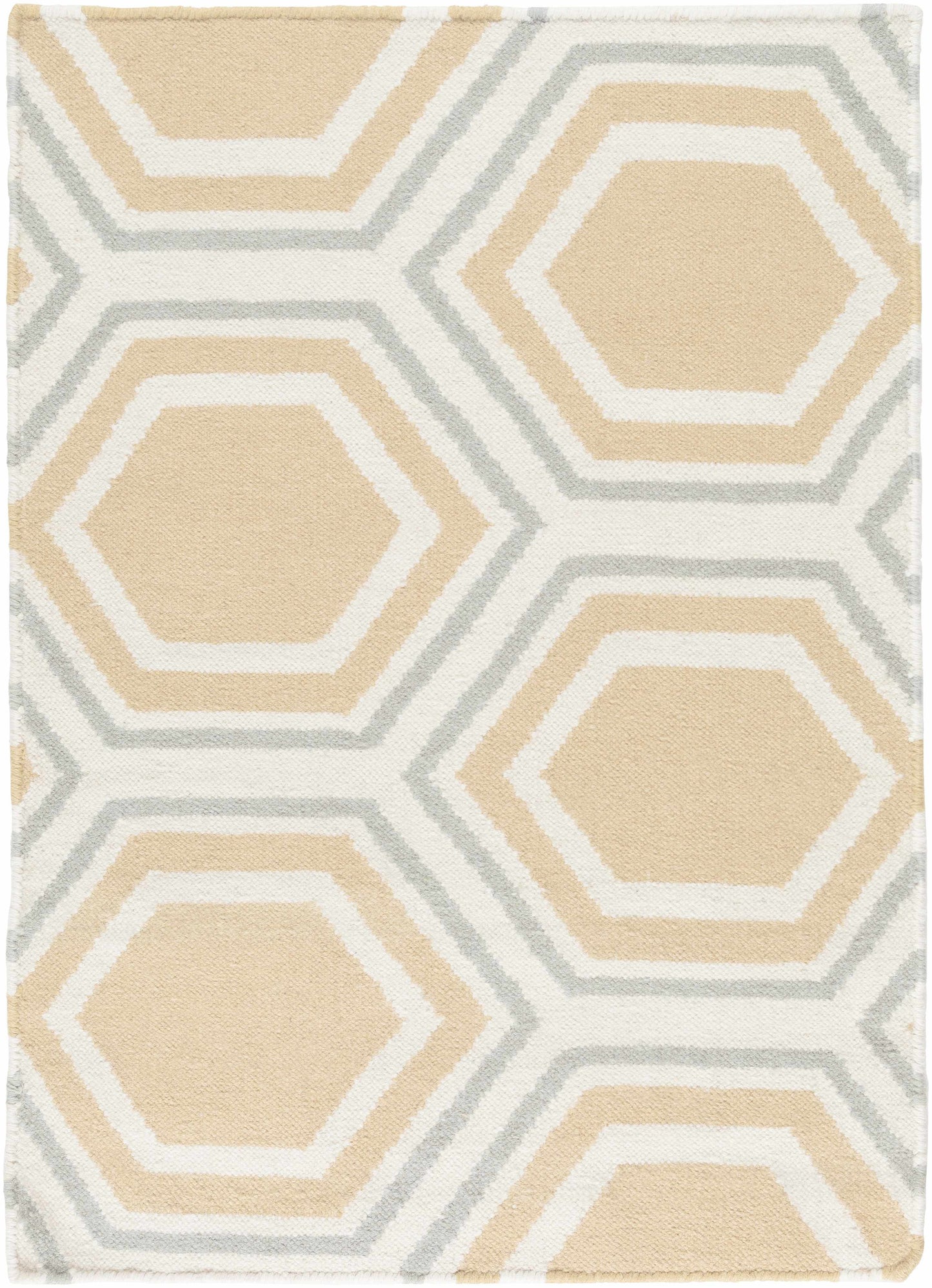 Fallon FAL-1038 Hand Woven Rug