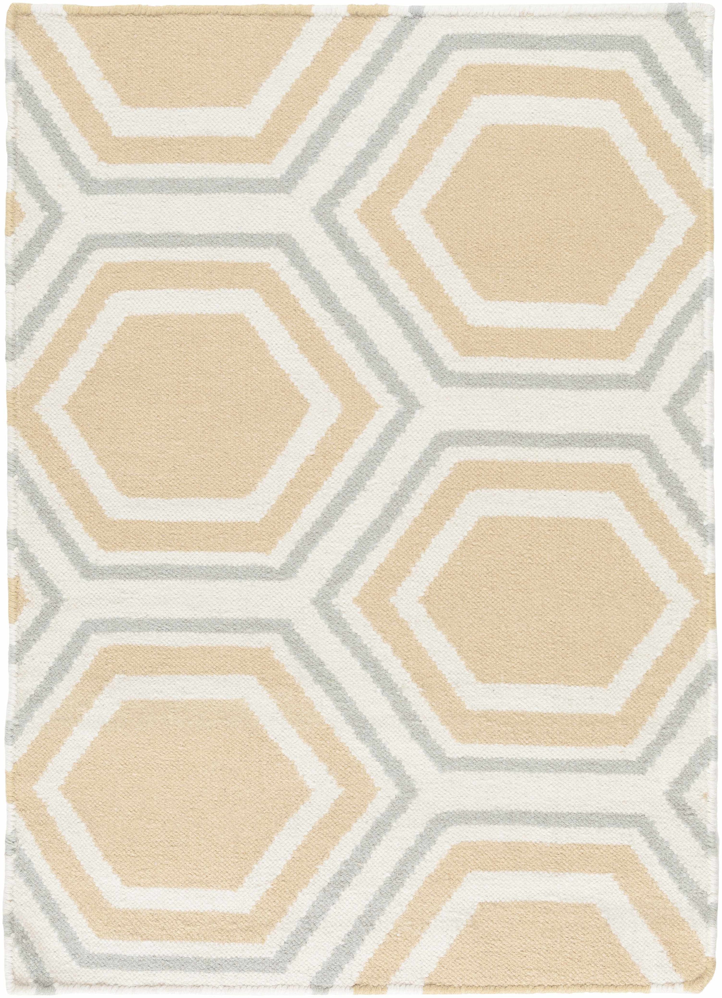 Fallon FAL-1038 Hand Woven Rug