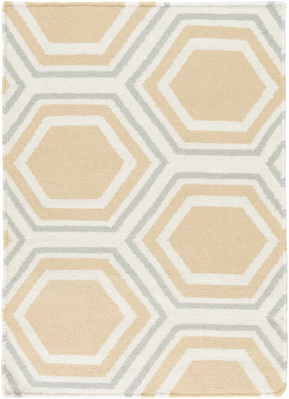 Fallon FAL-1038 Hand Woven Rug