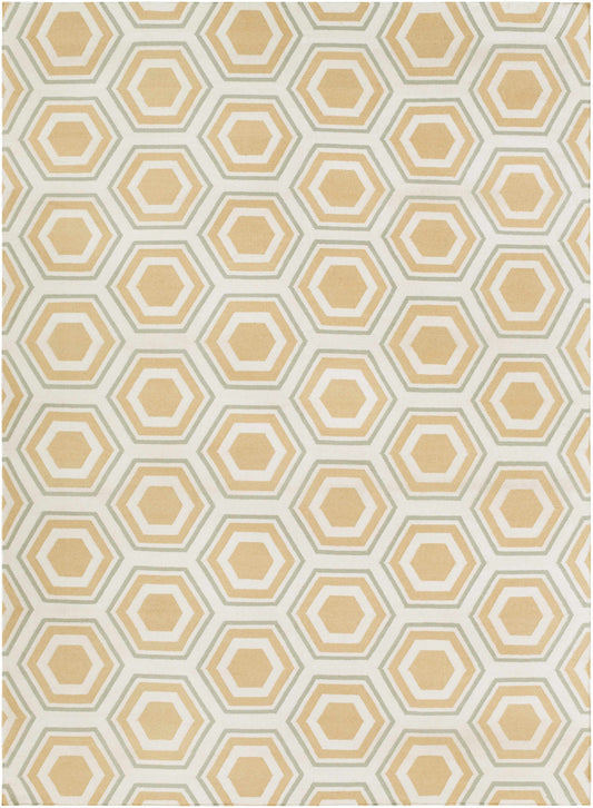 Fallon FAL-1038 Hand Woven Rug