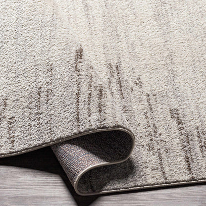 Blackburn BBN-2303 Machine Woven Rug