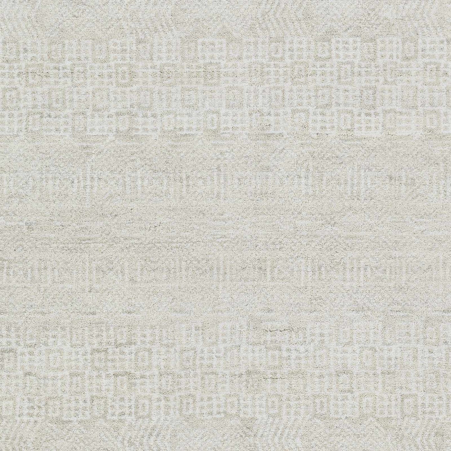 Claude CAU-1005 Hand Loomed Rug