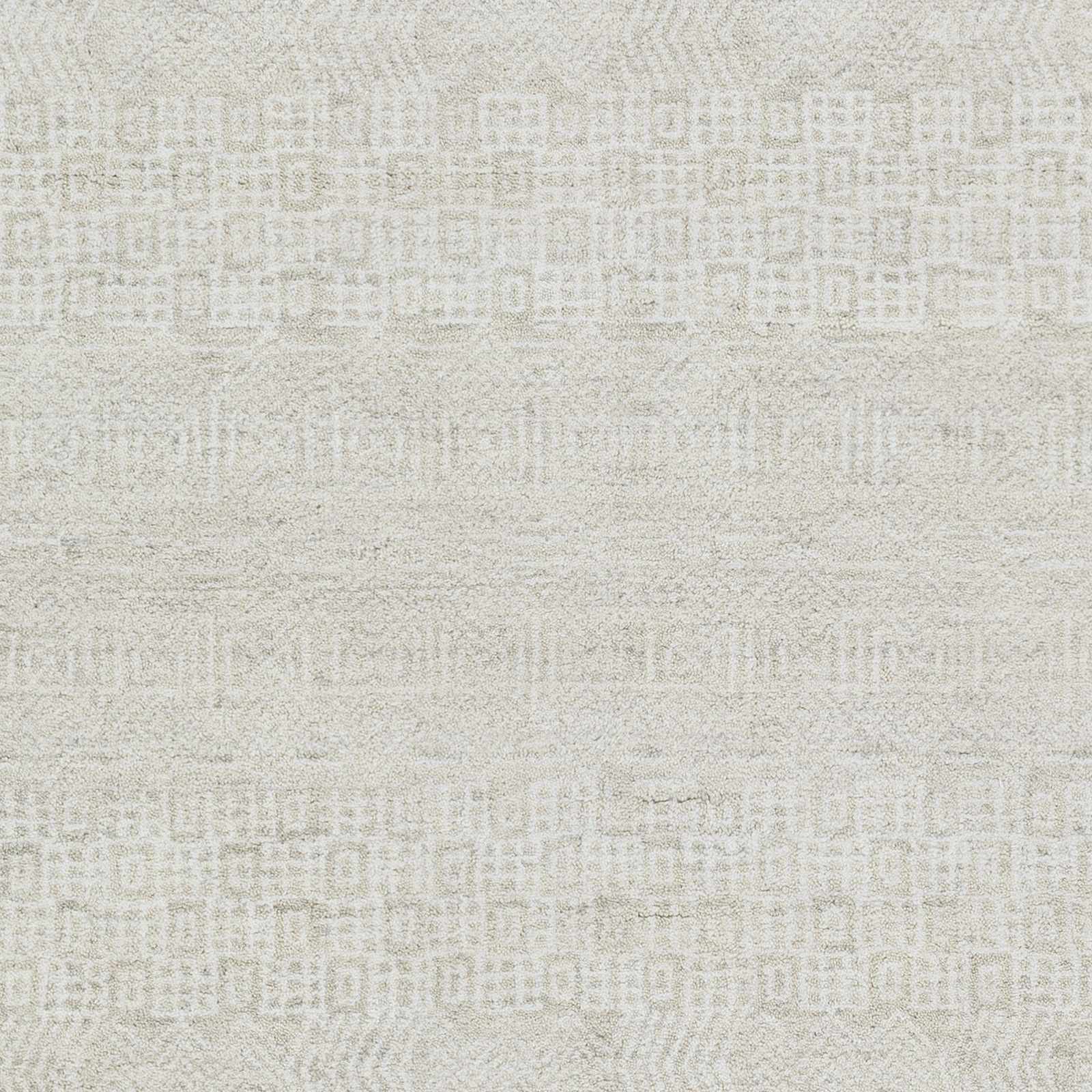 Claude CAU-1005 Hand Loomed Rug