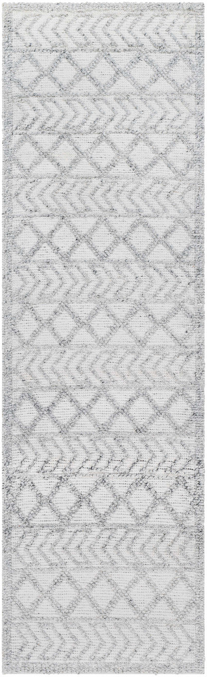 Napoli NPO-2312 Hand Woven Rug