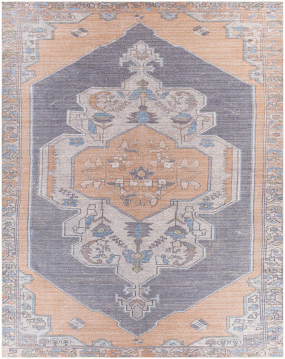 Amelie AML-2327 Machine Woven Rug