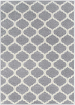 Horizon HRZ-1001 Machine Woven Rug