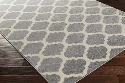 Horizon HRZ-1001 Machine Woven Rug