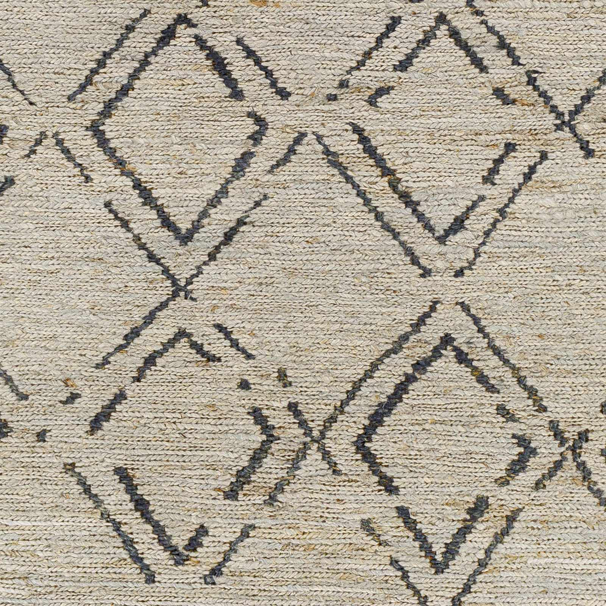 Riah RIH-2300 Hand Woven Rug