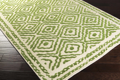 Atlas ATS-1009 Hand Knotted Rug