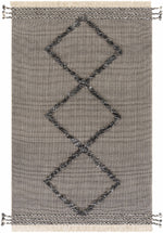 Palo Alto PLA-2301 Hand Woven Rug