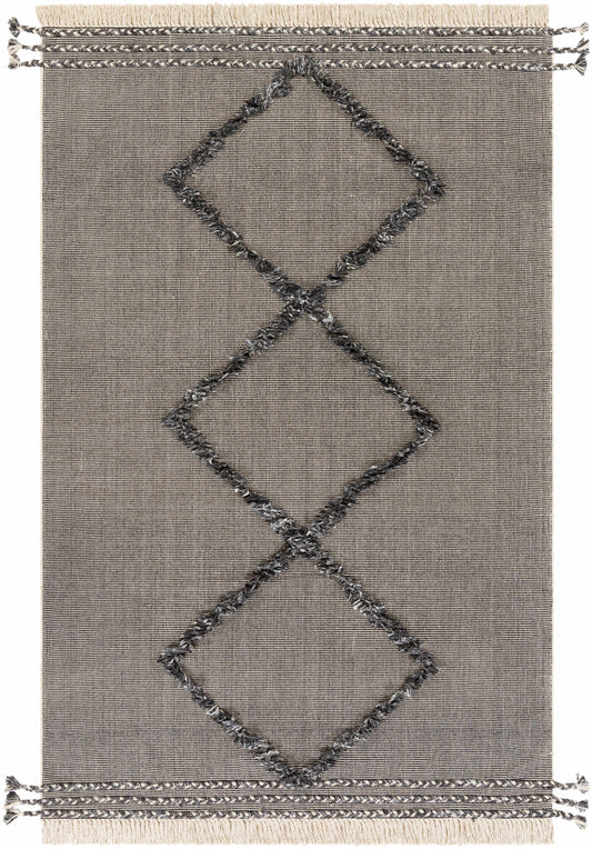 Palo Alto PLA-2301 Hand Woven Rug