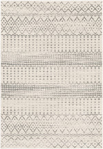 Harput HAP-1097 Machine Woven Rug