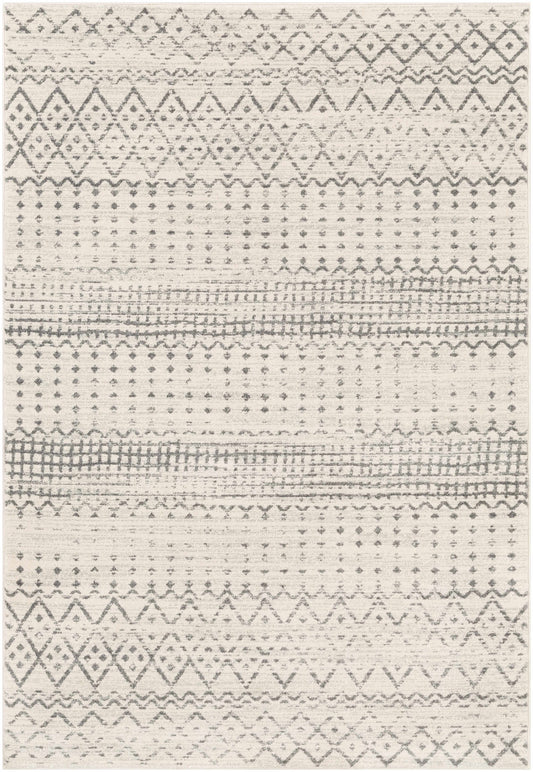 Harput HAP-1097 Machine Woven Rug