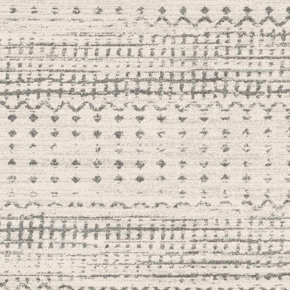 Harput HAP-1097 Machine Woven Rug