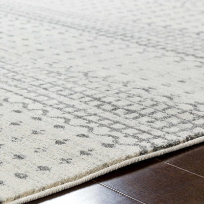 Harput HAP-1097 Machine Woven Rug