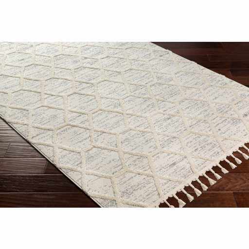 Nora NOA-2311 Machine Woven Rug
