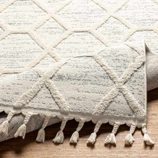 Nora NOA-2311 Machine Woven Rug