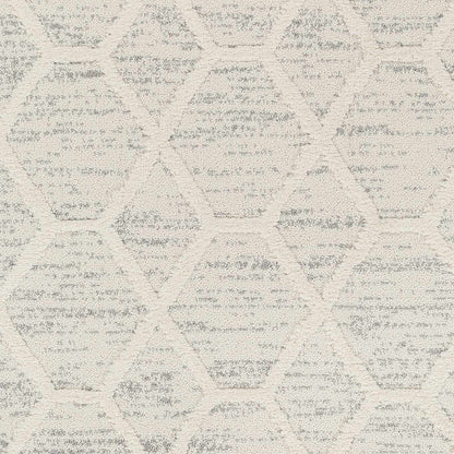 Nora NOA-2311 Machine Woven Rug