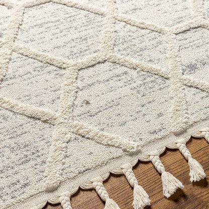 Nora NOA-2311 Machine Woven Rug