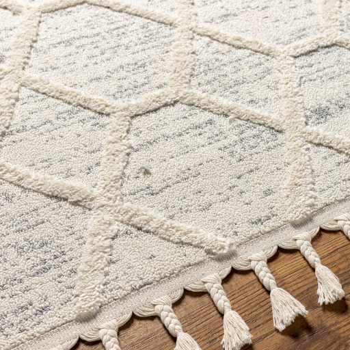 Nora NOA-2311 Machine Woven Rug