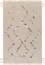 Palo Alto PLA-2304 Hand Woven Rug