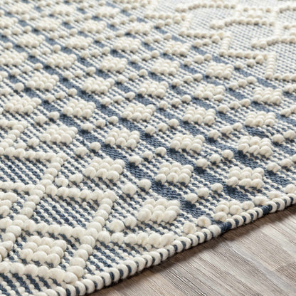 Farmhouse Tassels FTS-2304 Hand Woven Rug