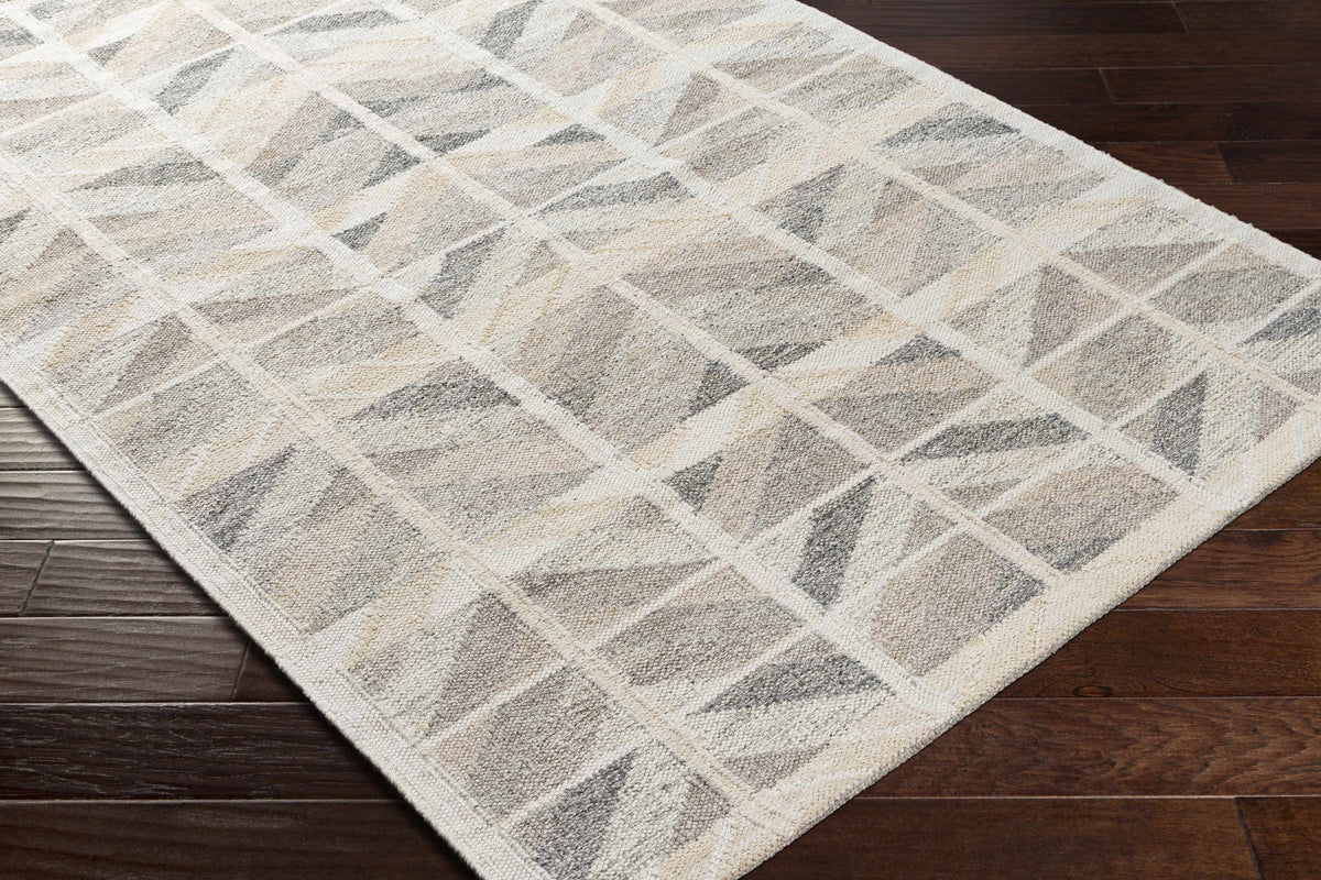 Rugs : SCD-2301