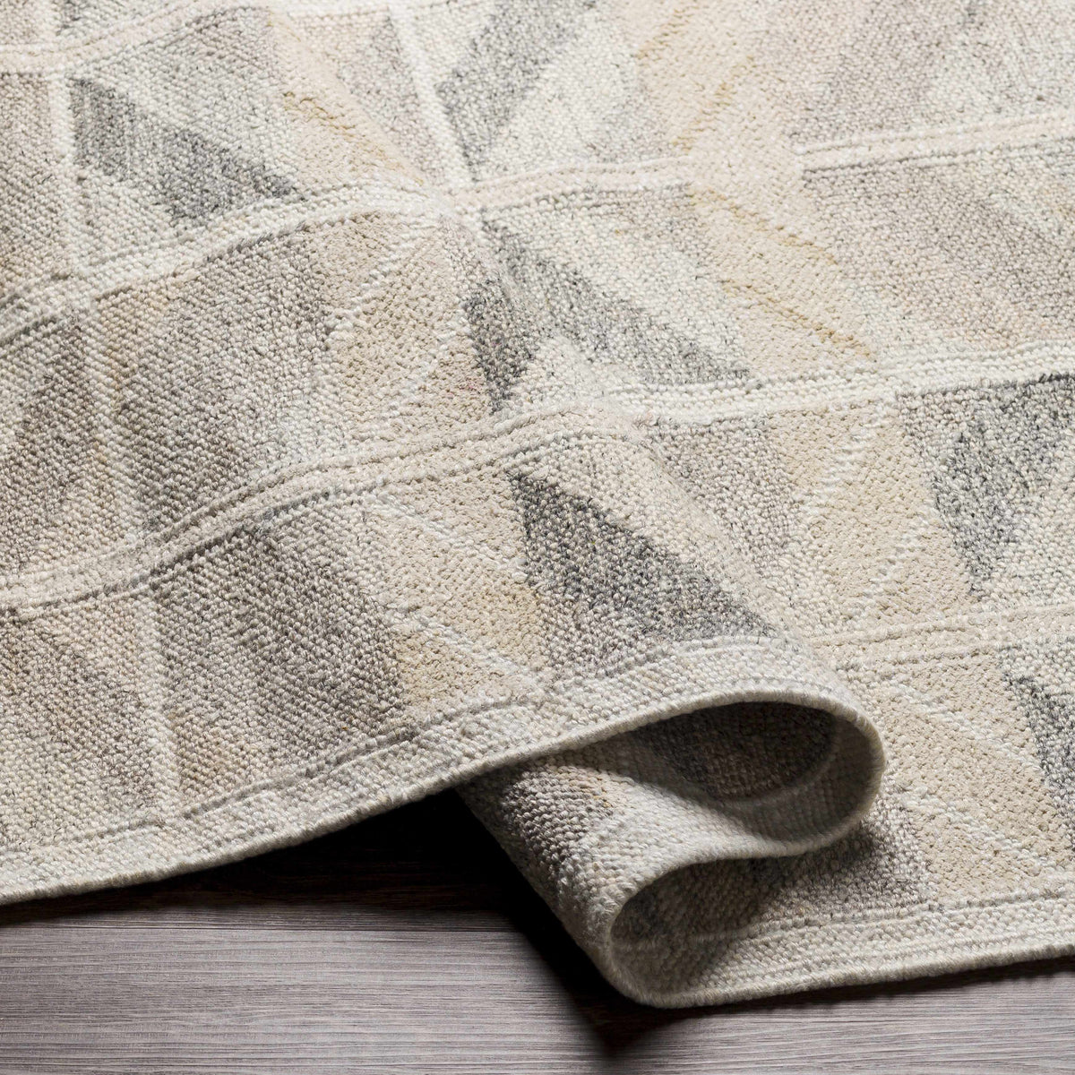 Rugs : SCD-2301