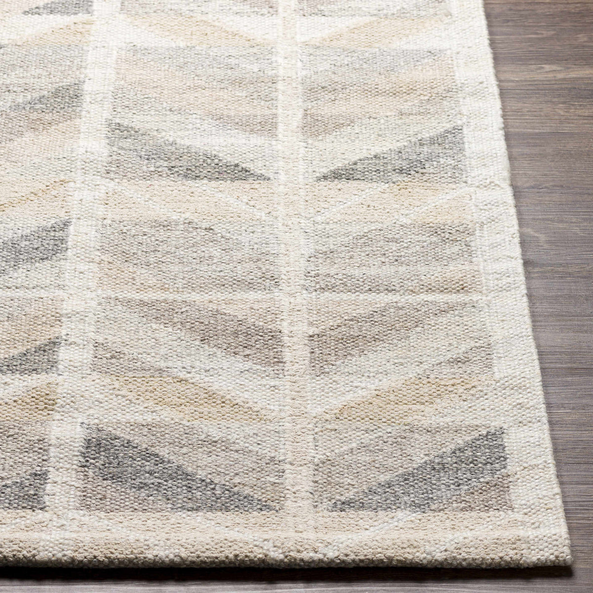 Rugs : SCD-2301