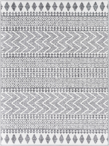 Cesar CEG-2343 Machine Woven Rug