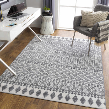 Cesar CEG-2343 Machine Woven Rug