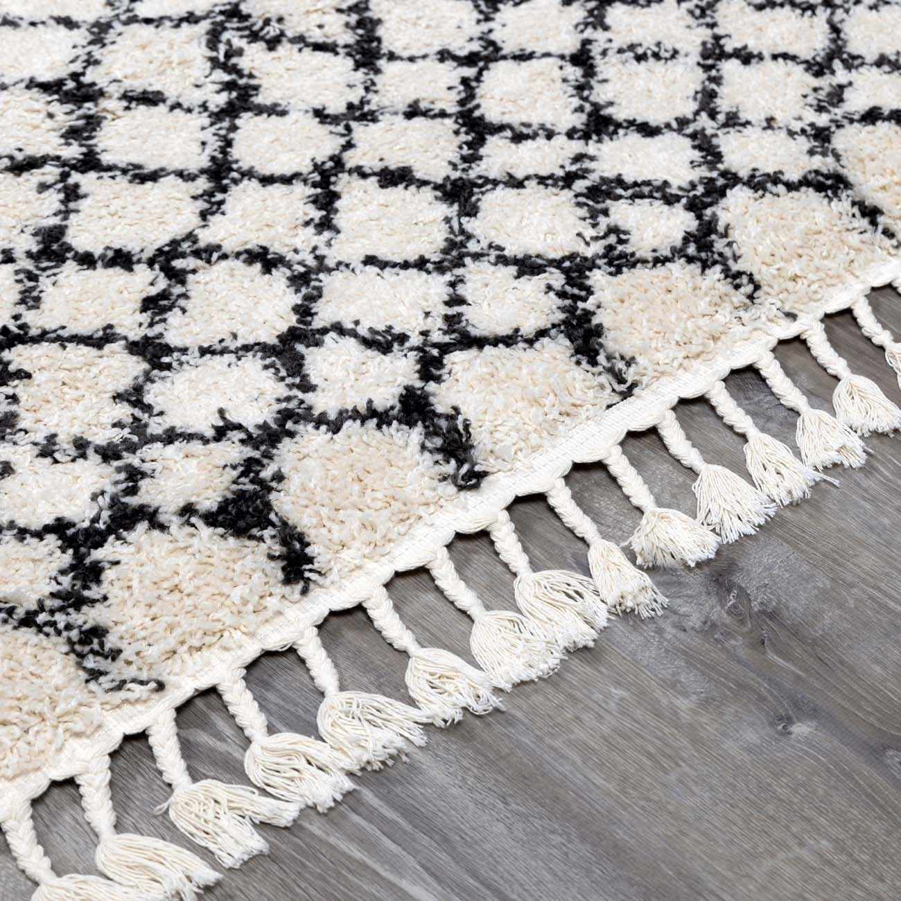 Berber Shag BBE-2309 Machine Woven Rug