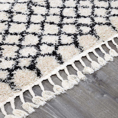 Berber Shag BBE-2309 Machine Woven Rug