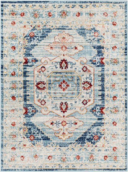 Tevazu TVZ-2312 Machine Woven Rug