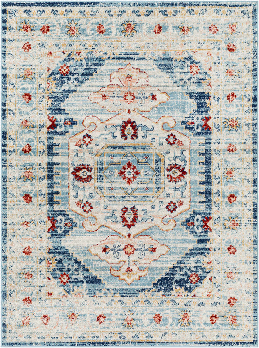 Tevazu TVZ-2312 Machine Woven Rug
