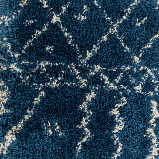 Wilder WDR-2007 Machine Woven Rug
