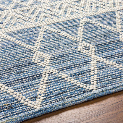 Nadine NDD-2301 Hand Woven Rug