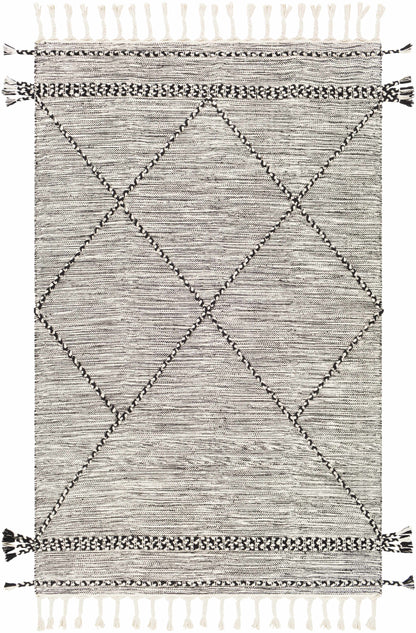 Zanafi ZNF-2300 Hand Woven Rug