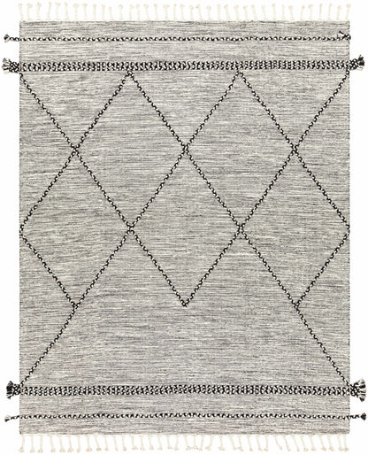 Zanafi ZNF-2300 Hand Woven Rug