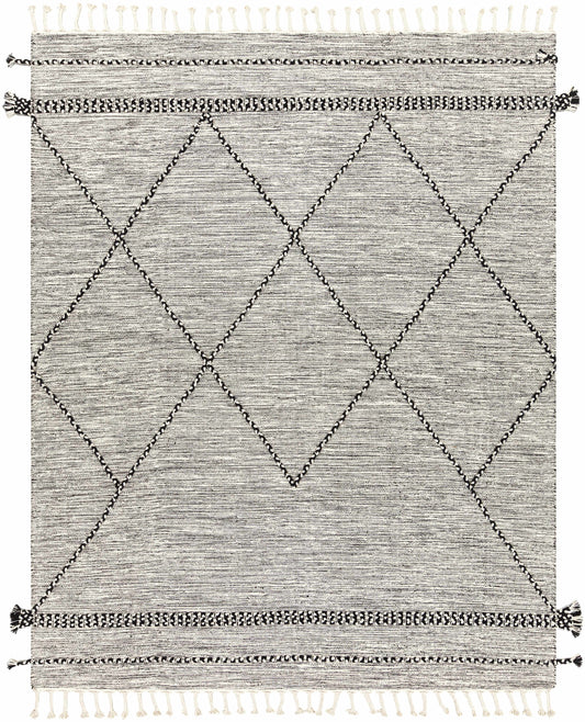 Zanafi ZNF-2300 Hand Woven Rug