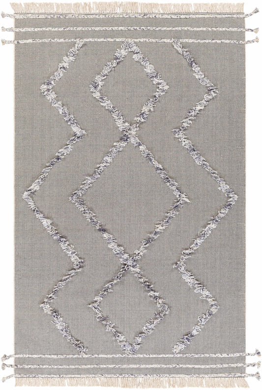 Palo Alto PLA-2303 Hand Woven Rug
