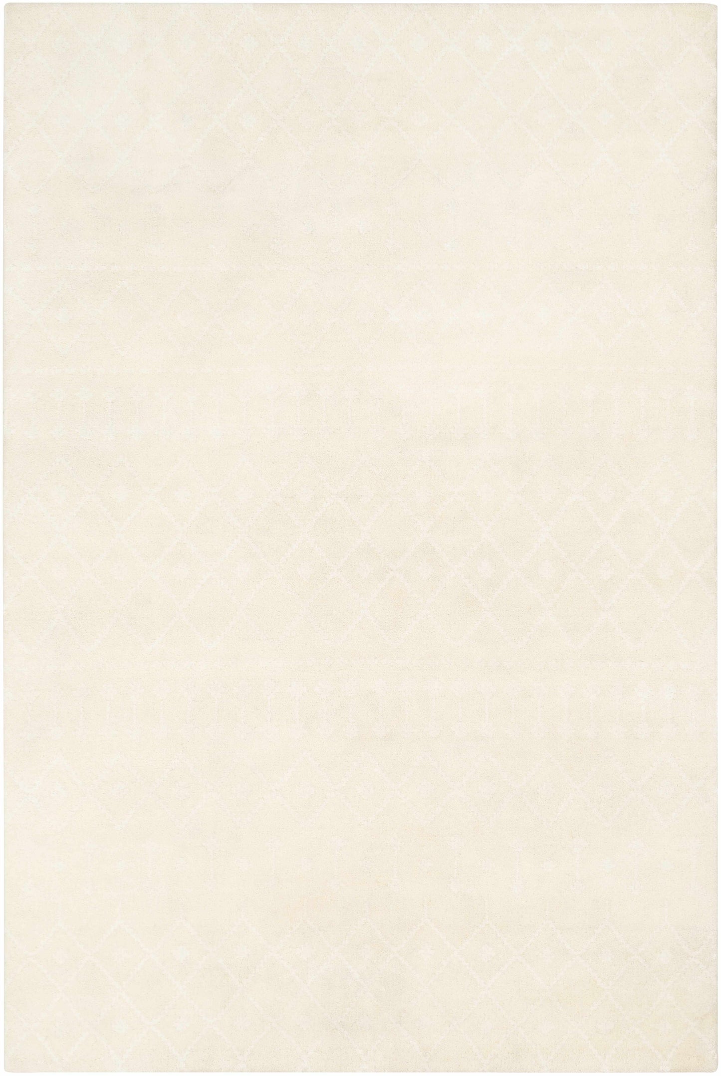 Casa CAA-2300 Hand Knotted Rug