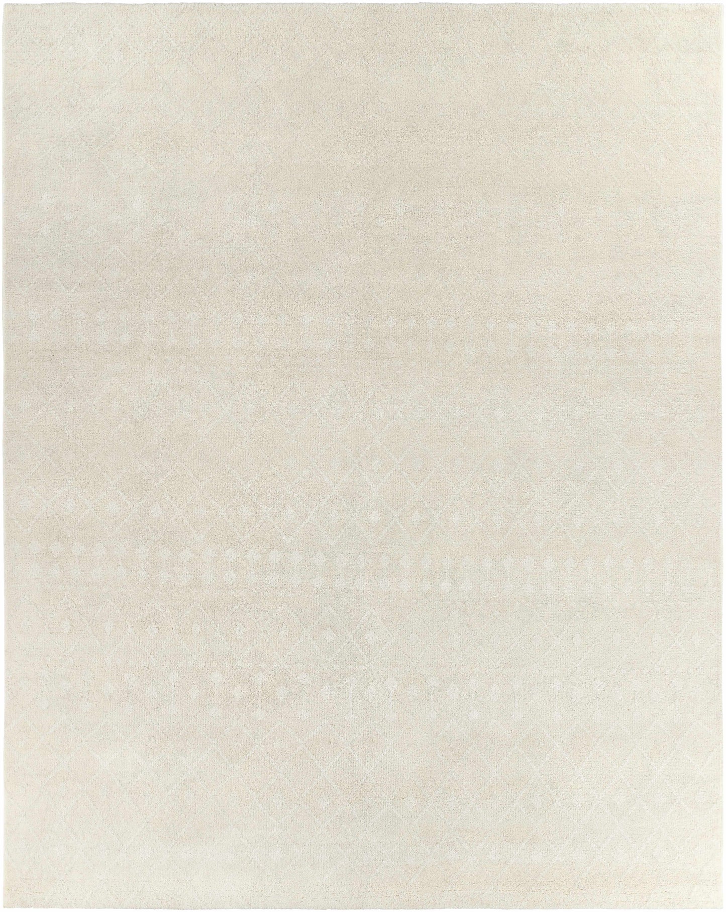 Casa CAA-2300 Hand Knotted Rug