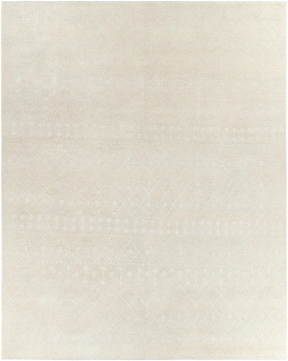 Casa CAA-2300 Hand Knotted Rug