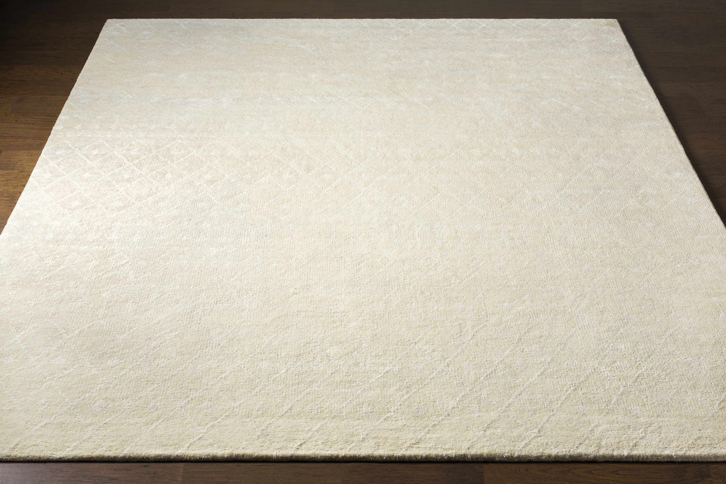 Casa CAA-2300 Hand Knotted Rug