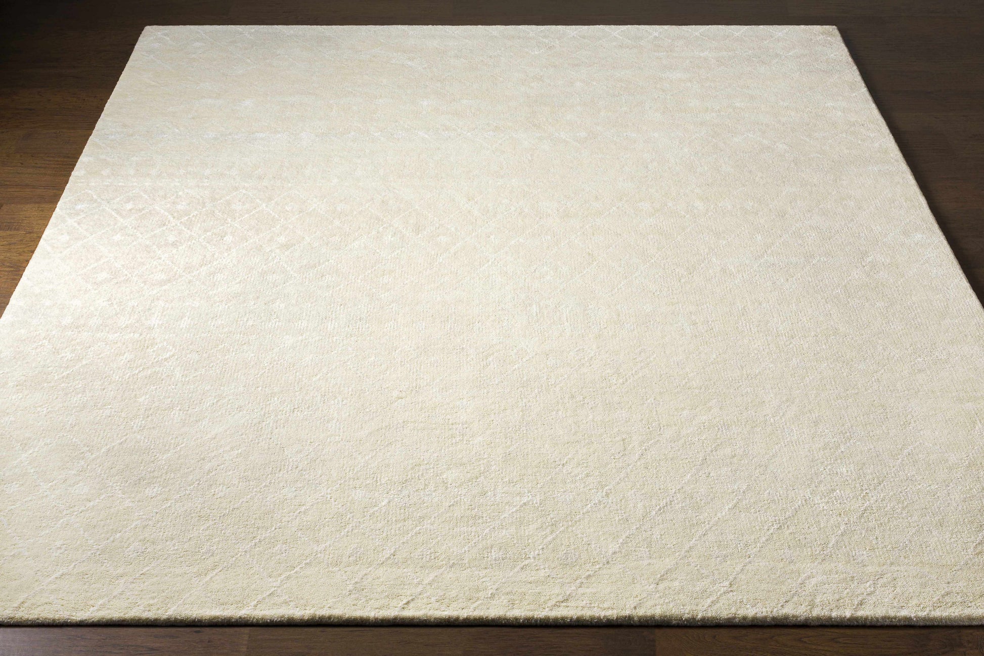 Casa CAA-2300 Hand Knotted Rug