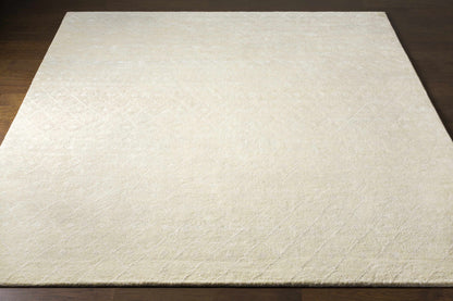 Casa CAA-2300 Hand Knotted Rug